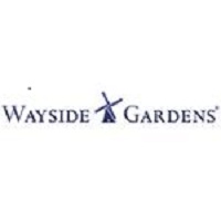 Wayside Gardens 